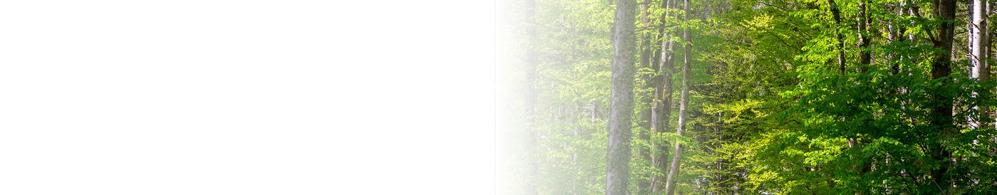 Klimawerke Banner